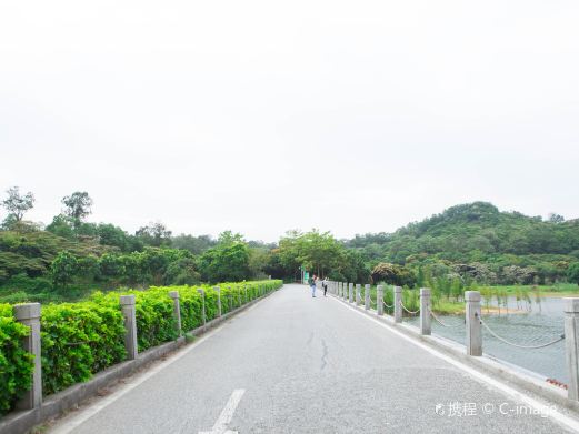 黄山鲁森林公园