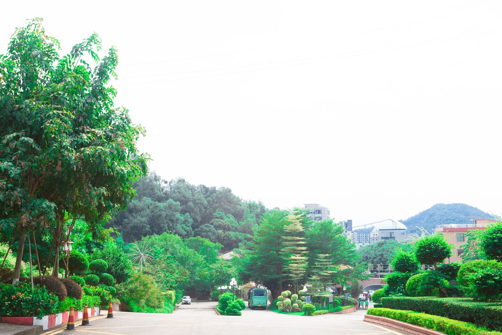 莲花山景点图片 24