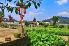 呈坎-黄山-M16****472