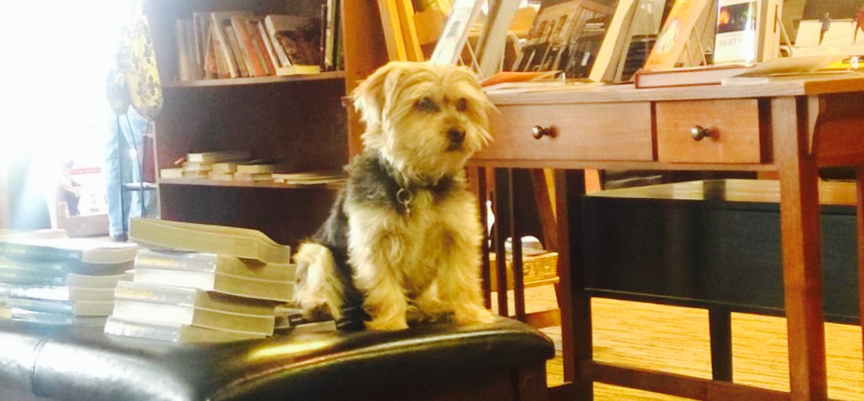 The Next Page Books & Nosh餐厅图片