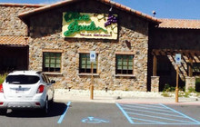 Olive Garden Italian Restaurant餐厅图片