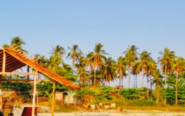 D & W Beach Haven