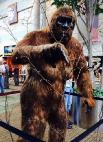 Sven and Ole's Pizza