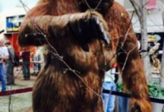 Sven and Ole's Pizza美食图片