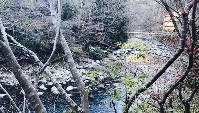 山の茶家餐厅图片
