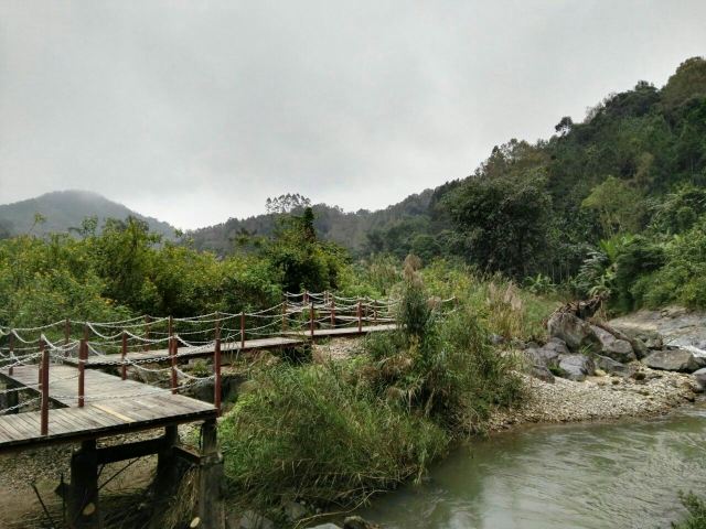 Wuzhishan Tropical Rainforest