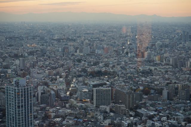 東京都廳展望台