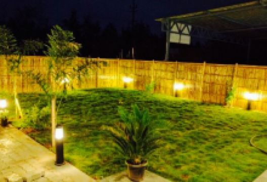 SaltWater美食图片