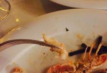Ristorante Da Luciano Di Cacciatori美食图片
