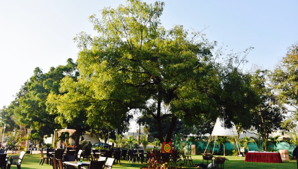 Laxmi Gardens and Food Studio餐厅图片