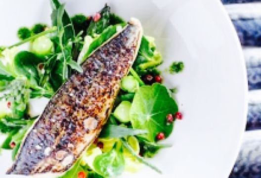 Ratatouille美食图片