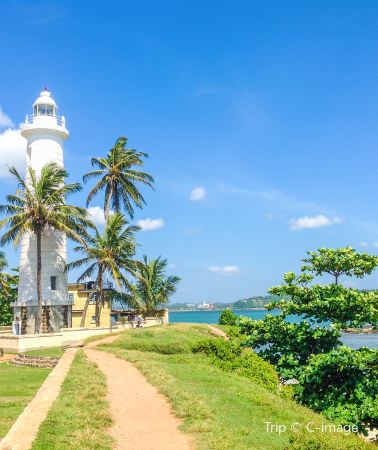 2D1N • Sri Lanka+Colombo + Galle Fort + Mirissa + Boat Ride + Turtle Hatchery + Mirissa Whale Watching + Sea Train Experience