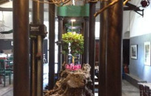 Sem-Fim Restaurante餐厅图片
