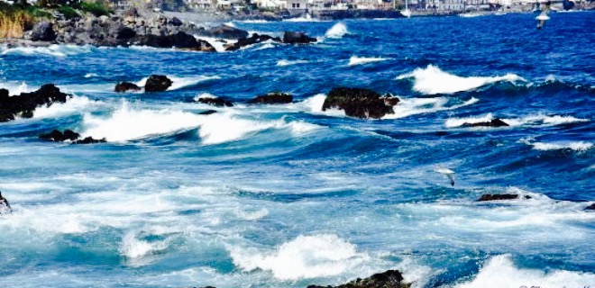 Ristorante Il Veliero餐厅图片