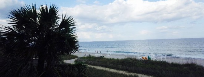 Damon's Grill餐厅图片