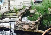 Restaurante Rancho Do Peixe Dois Lagos美食图片