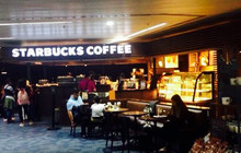 Starbucks餐厅图片