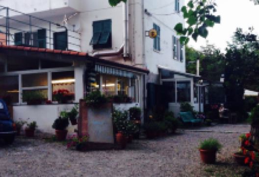 Trattoria Pizzeria Madonna delle Vigne美食图片