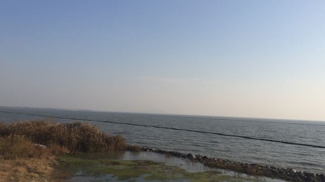 巢湖