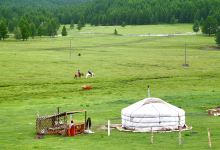 蒙古旅游图片-天苍苍，野茫茫，乌兰巴托草原风情1日游