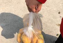 七度浪漫水果蛋糕定制(玫瑰星城店)购物图片