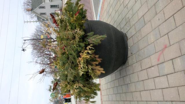 Pickering Village Ice Cream Shoppe餐厅图片