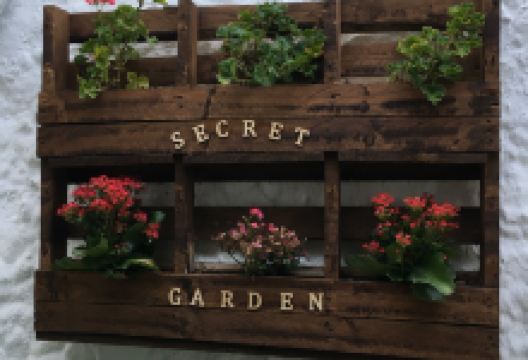 Aroma Cafe & Secret Garden美食图片