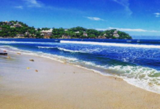 Sayulita Cafe美食图片