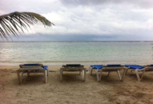 El Capitan Mono美食图片