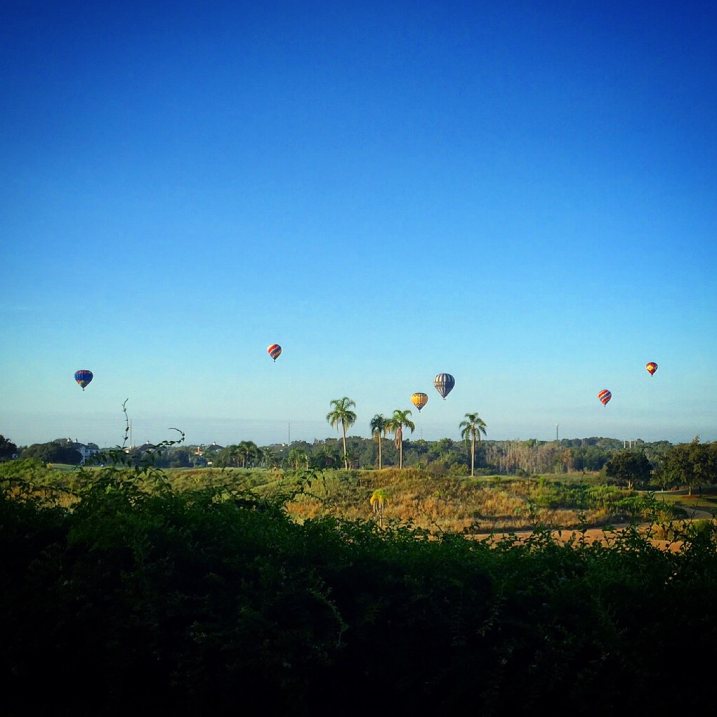 Grand Lobby Sushi Bar