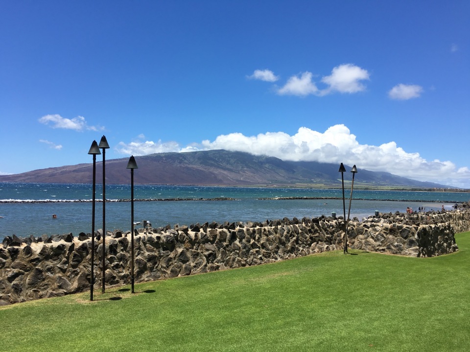 Monsoon India餐厅图片