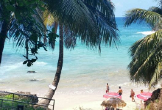 Bar do Cachorro美食图片