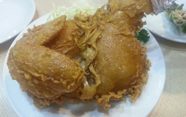 Torikan