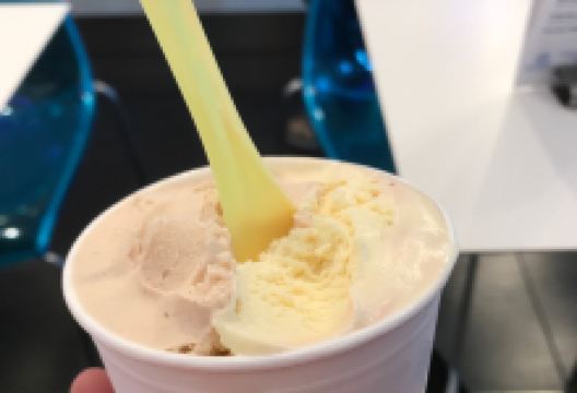 IJssalon Da Vinci Amstelveen美食图片