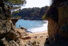 Cala Treumal Beach Restaurant景点图片