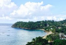 Caribbean Kitchen at Castara Retreats美食图片