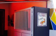 Scorpion Café餐厅图片