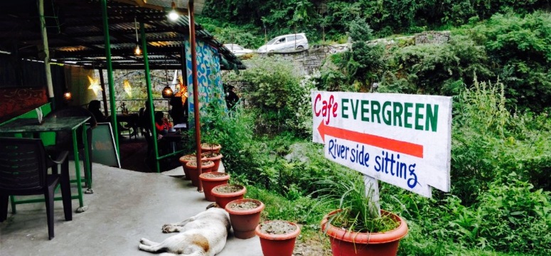 Cafe Evergreen Manali餐厅图片