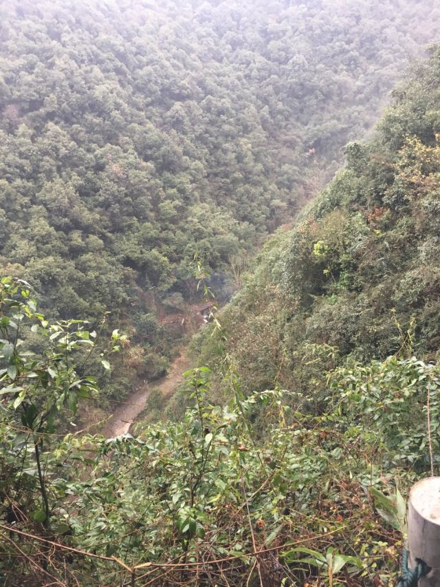첸다오 비징