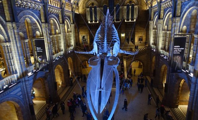 Natural History Museum