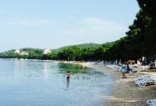 Beach Bar Tamaris美食图片