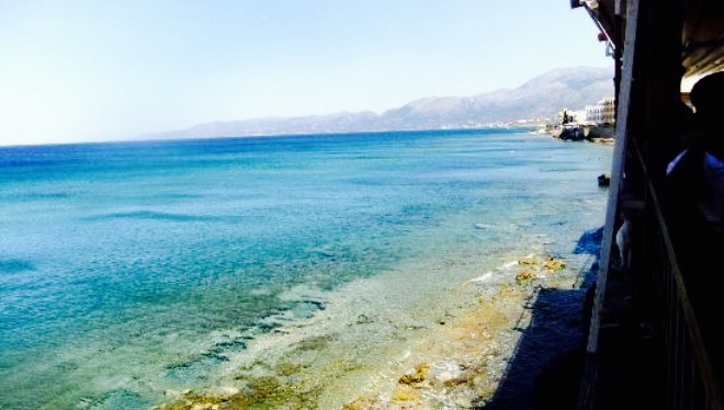 Aphrodite Restaurant餐厅图片