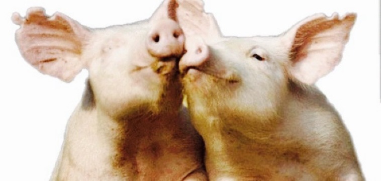 Restaurante Aurregoiti