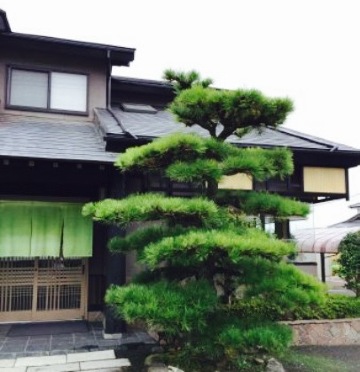Teuchi Soba Udon Hazuki餐厅图片