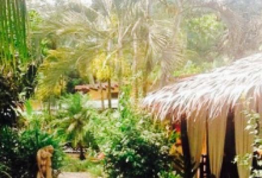 Caribbean Coconut - Restaurant & Bar美食图片