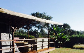 Macondo Camp