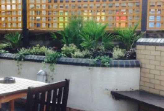 City and County美食图片