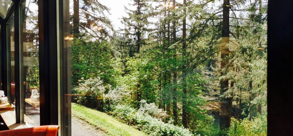 The Cazadero餐厅图片