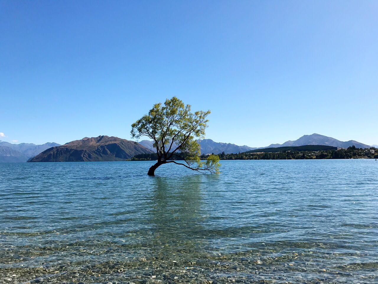 新西兰南岛自驾游-DAY4 瓦纳卡