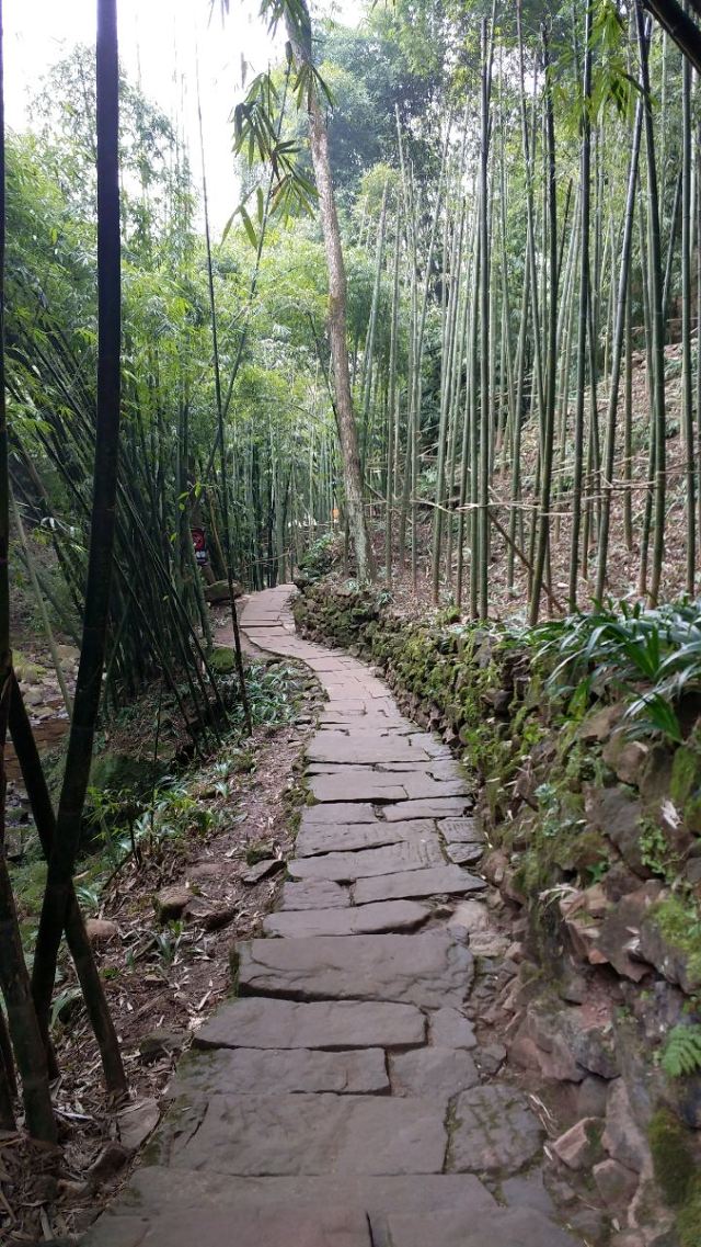 핑러고진